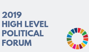 SOLIDAR at the UN High-Level Political Forum for Sustainable Development: bringing the CSOs voice into governmental reporting